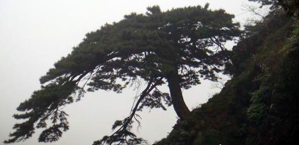 泰安旅游最新最全的泰山旅游攻略