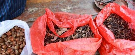 四川旅行生态休闲游广元米仓山攻略购物参考