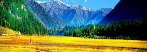 �Ĵ�����ͯ�����þ�կ�����ι���֮�ܱ߾����ο�