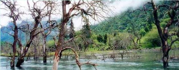 �Ĵ�������ɽ�ʺ��Ĺ���ɽ���ι���֮��������ο�