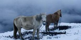 �Ĵ�������ɽ�ʺ��Ĺ���ɽ���ι���֮��ͨ����ο�