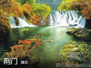 ����-���ţ�