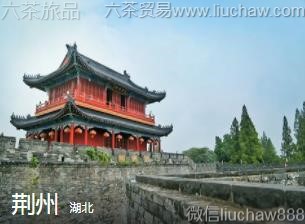 ����-���ݣ�