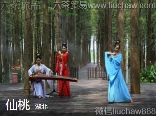 ����-���ң�