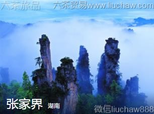 ����-�żҽ磬