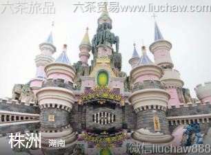 ����-���ޣ�