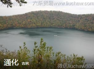 ����-ͨ����