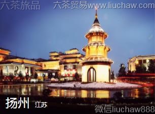 ����-���ݣ�