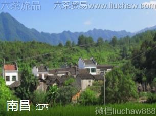 ����-�ϲ���