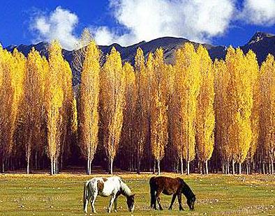 西藏旅行吐蕃发源地山南旅游之山南概况参考