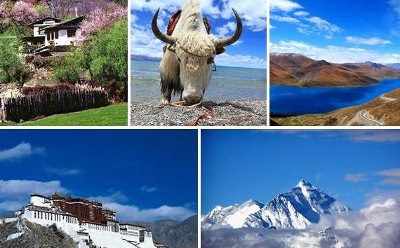 ���ؾ�����·���ι���֮��������ש