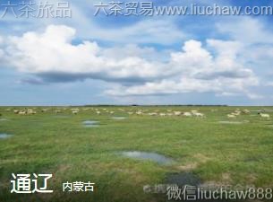 ���ɹ�-ͨ�ɣ�