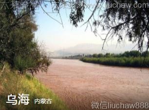 ���ɹ�-�ں���