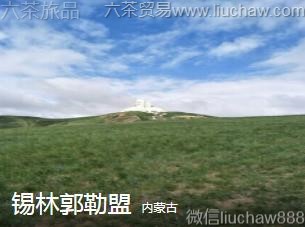 ���ɹ�-���ֹ����ˣ�