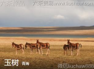 �ຣ-������