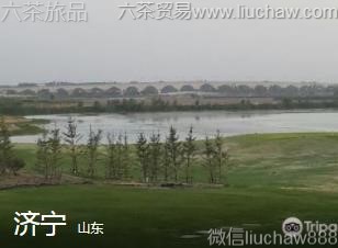 ɽ��-������