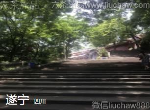 四川-遂宁,