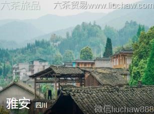 四川-雅安,