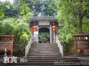 四川-宜宾,