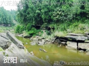 四川-资阳,