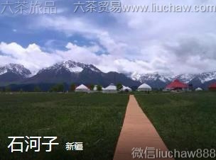 �½�-ʯ���ӣ�