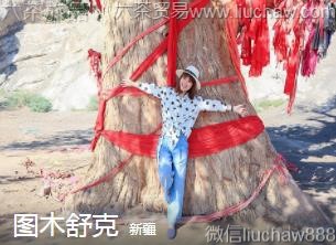 �½�-ͼľ��ˣ�