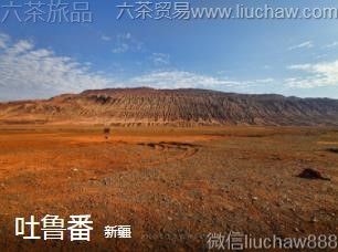 �½�-��³����