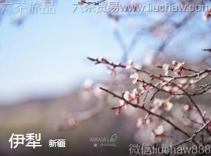 �½�-���磬