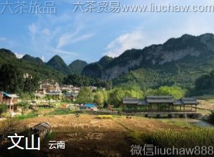 云南-文山,