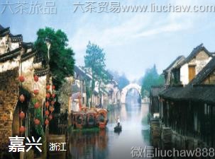 浙江-嘉兴,
