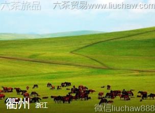 �㽭-���ݣ�