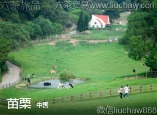 �й�-������