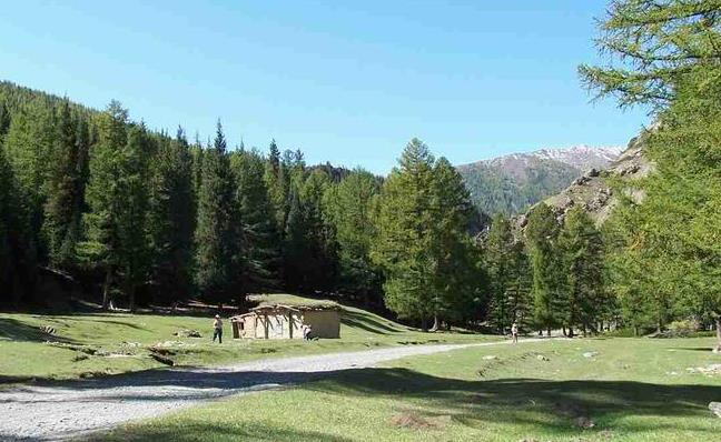 �½������μ��¹������й��Բο�