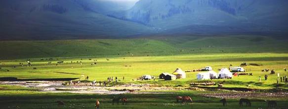 �½��������������³ľ�����ι����Ƽ���·