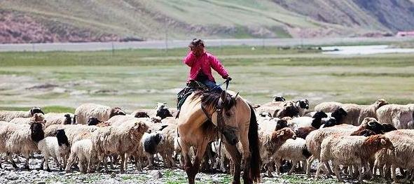 �½����й��㻨���������ι���֮��ͨ��·�߲ο�