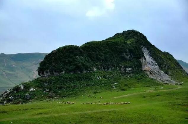 �����������ԭ���ι���