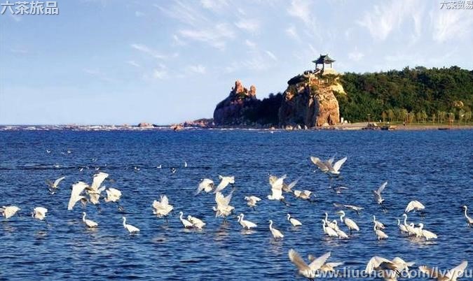 �й�����100��-��ͼ��10��