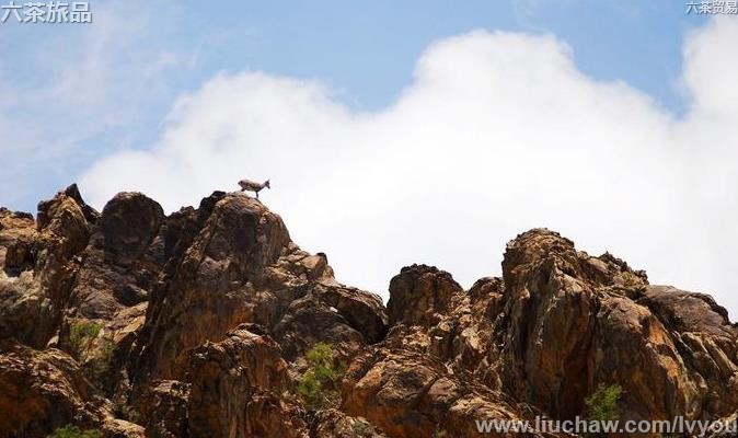 中国最美100景-简图(05) 中国最美100景-简图(05)