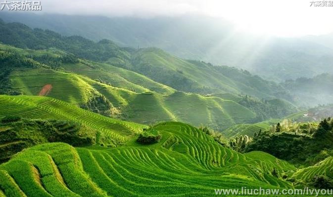 �й�����100��-��ͼ��04��