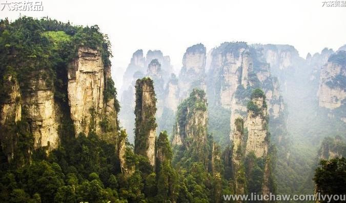 �й�����100��-��ͼ��01��