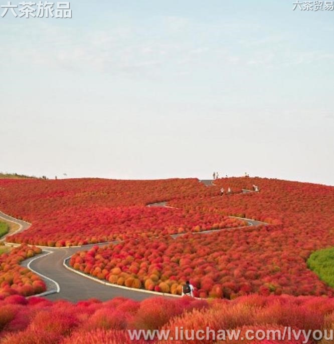 ��������50��-��ͼ��10��