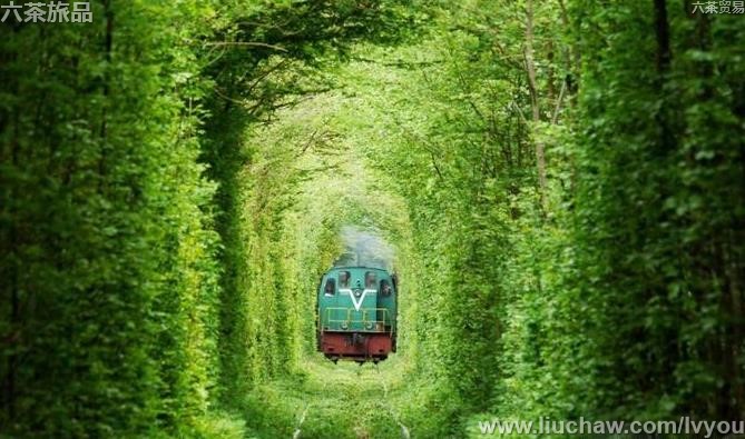 ��������50��-��ͼ��9��