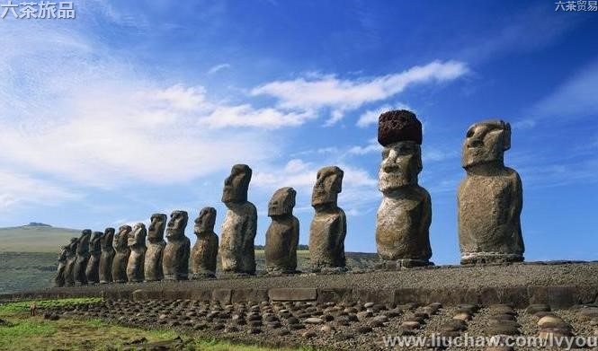 ��������50��-��ͼ��8��