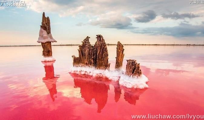 ��������50��-��ͼ��2��