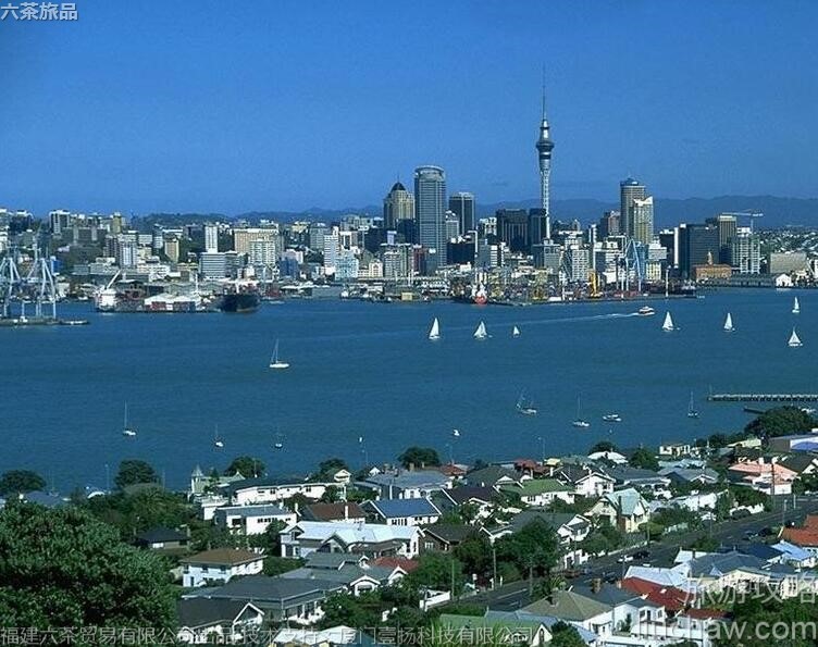 035�������¿������ι���