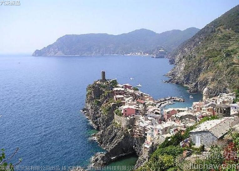 013�������������ι���