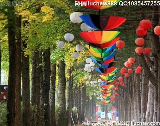 ȫ��Ŵ�������������ʤ��