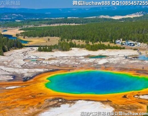 ȫ���ȥ��50����������