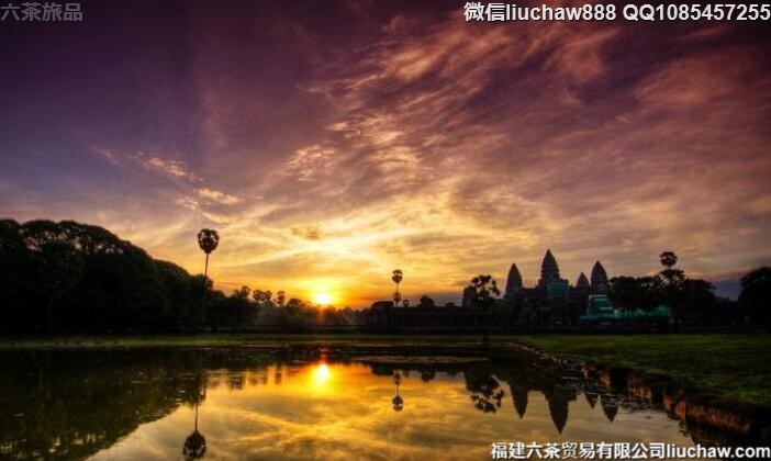 2�¹�����������Ƽ�����