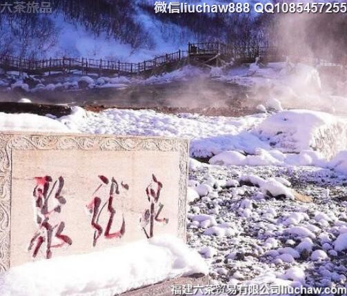 �й�ʮ����𱬵���Ȫ�ȼٴ�